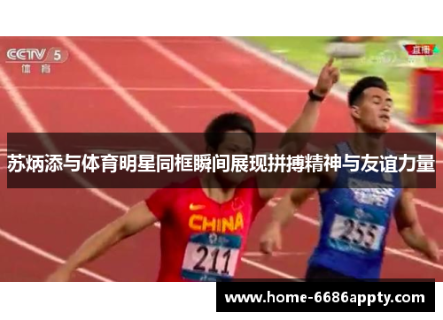 苏炳添与体育明星同框瞬间展现拼搏精神与友谊力量